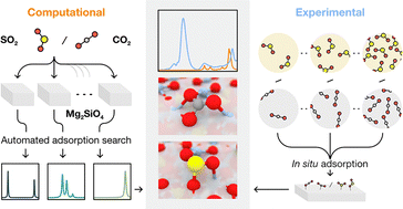 Revealing SO2 and CO2 adsorption features on forsterite via IR spectroscopy and automated computational approaches
